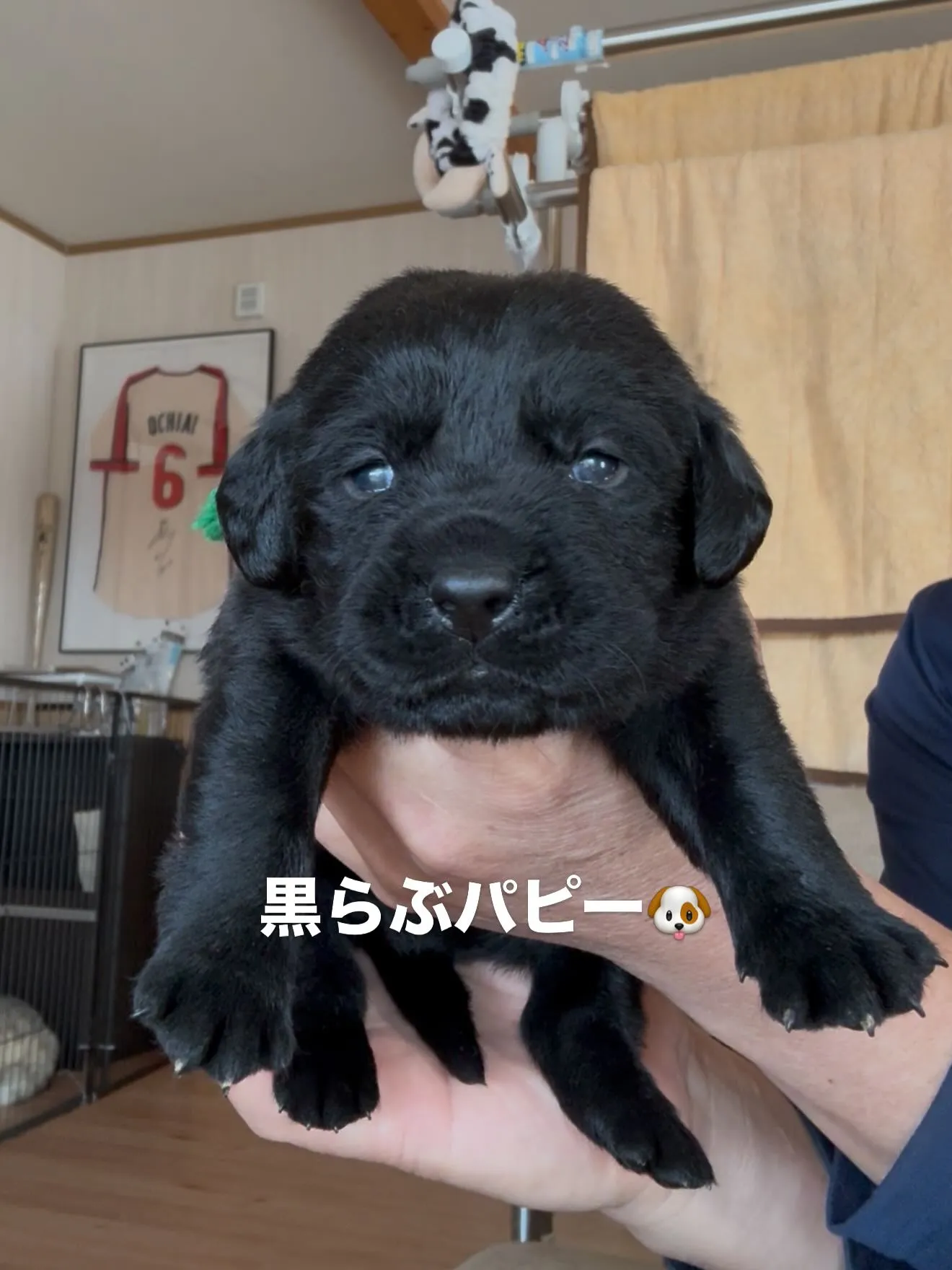 おはようございます🐶😊