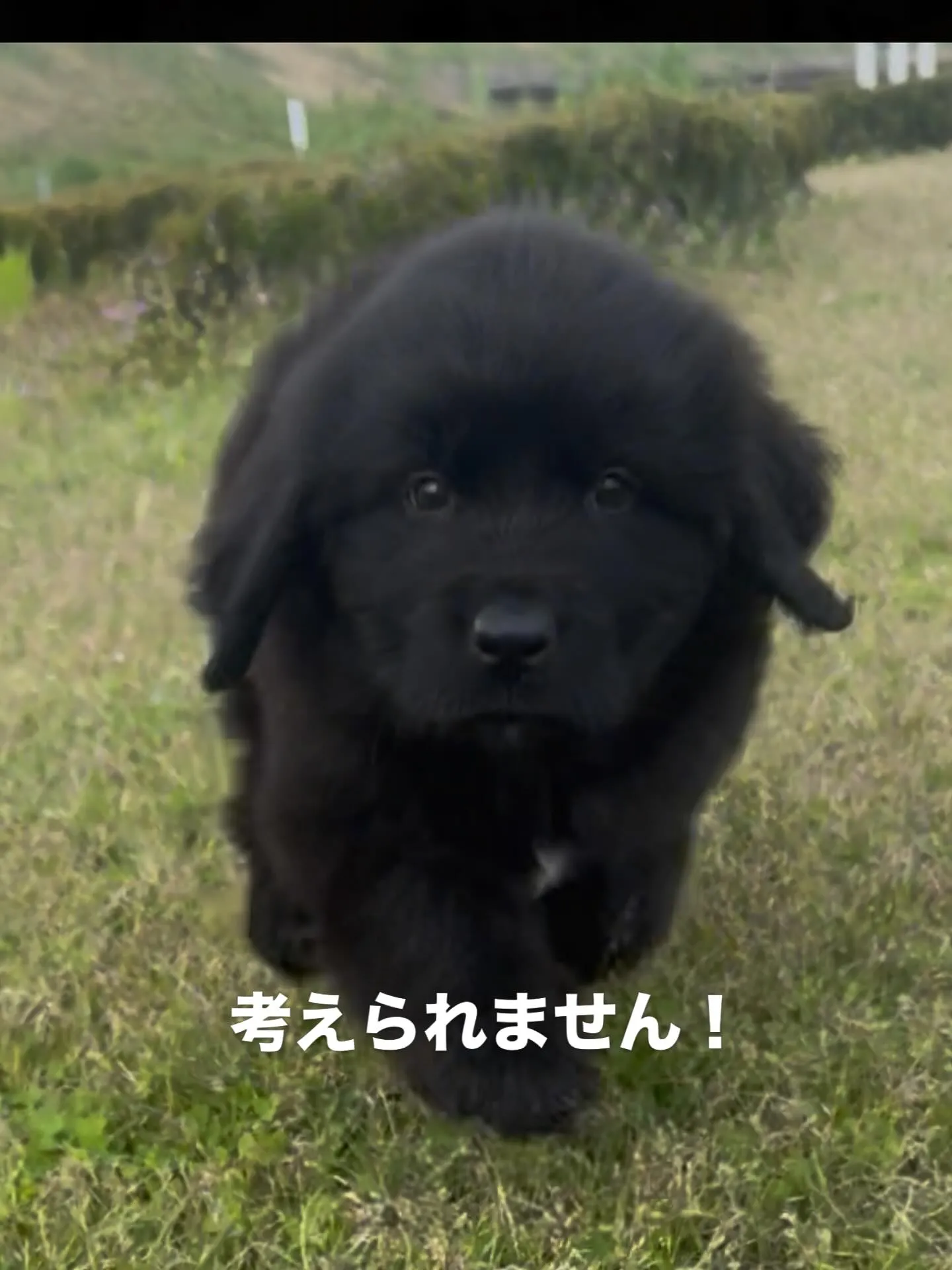 関東地方のお客様。