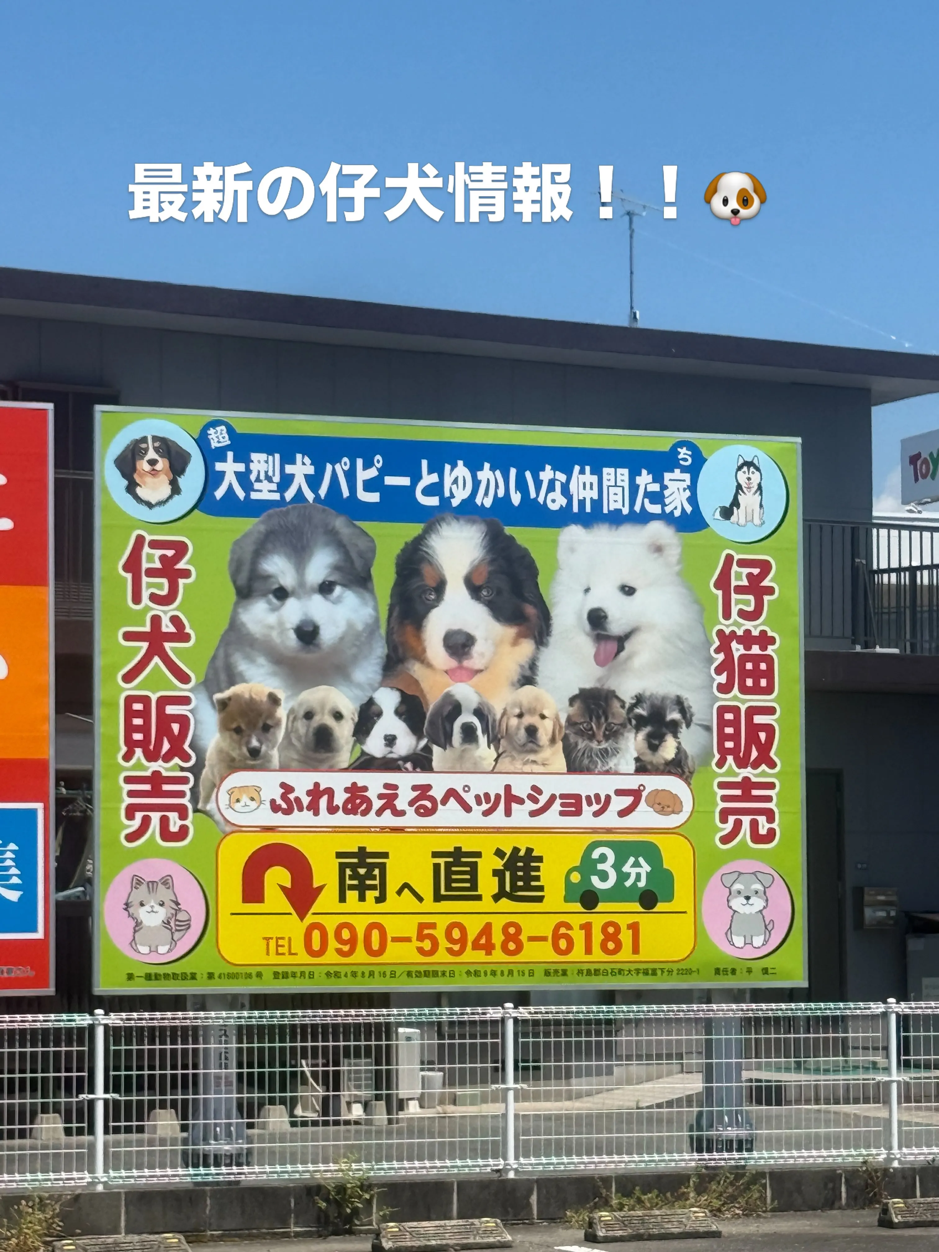 沢山の、素晴らしい子ども達がやって来ました☺️🐶