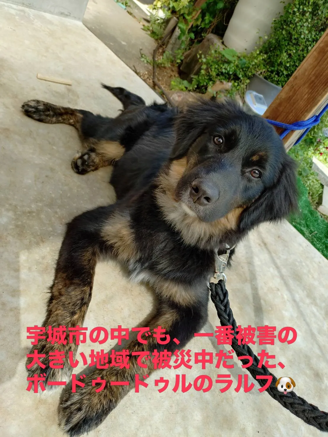 水がでましたー!! と、ご連絡を頂きました😭😊
